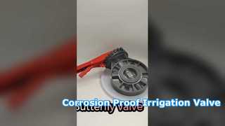  Butterfly Valve